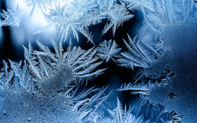 RLV vous protège en hiver : nos produits de saison
